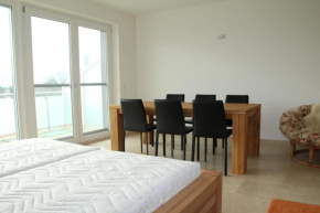 Отель Danube Apartment with City View, Вена